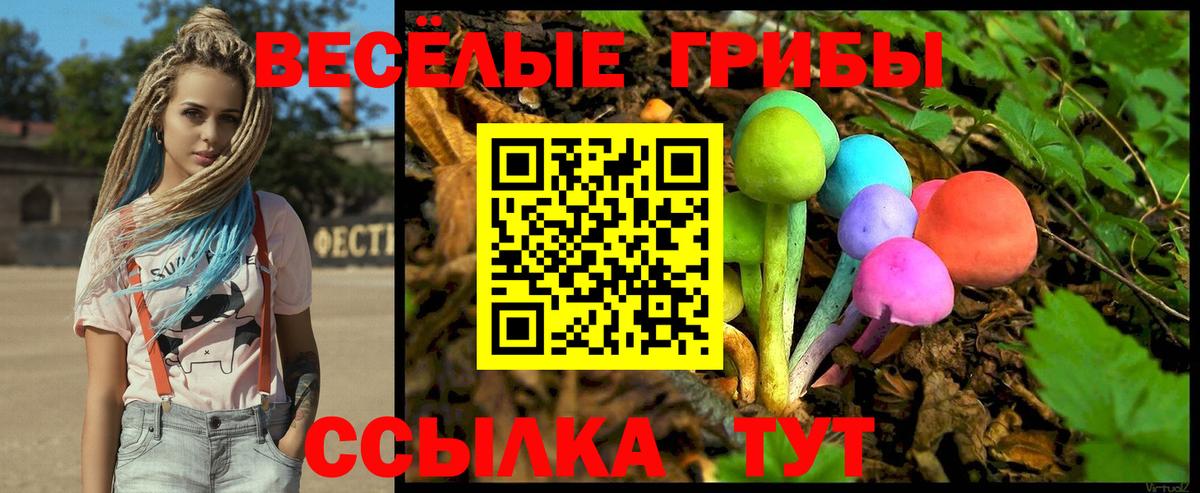 Сыктывкар  Псилоцибиновые грибы Magic Shrooms  Вход с VPN  Псилоцибиновые грибы Magic Shrooms 